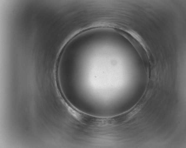 X0000069791438200605191027