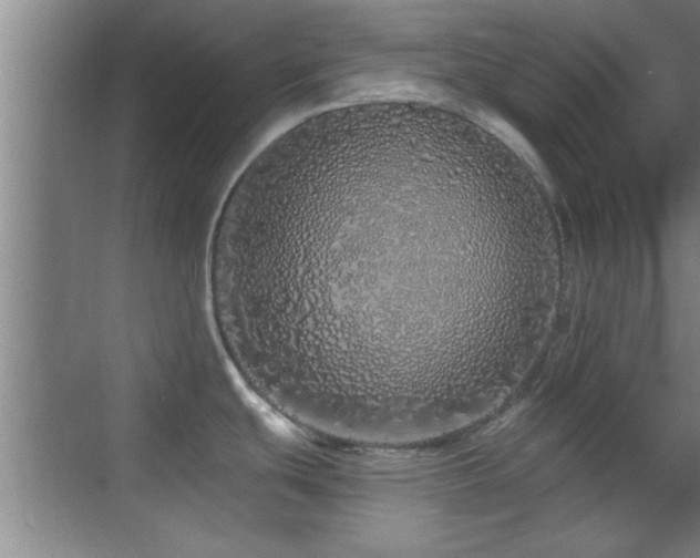 X0000069791439200605191027