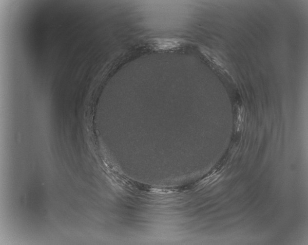 X0000069791441200605191026