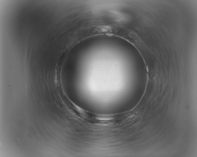 X0000069791442200605191026