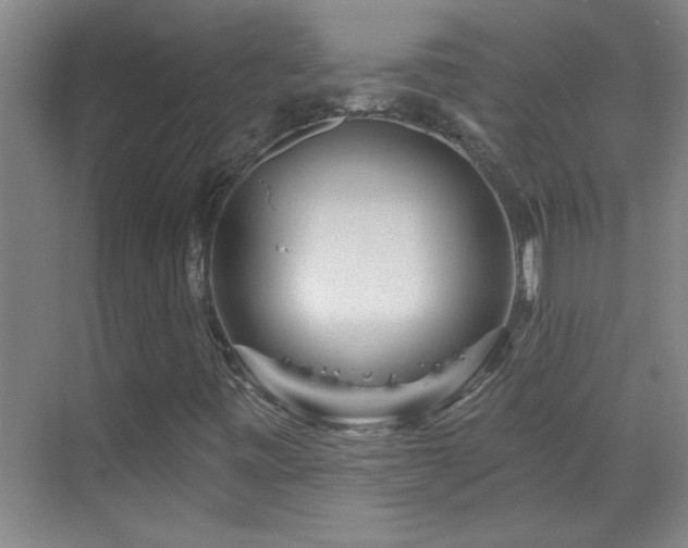 X0000069791443200605191026