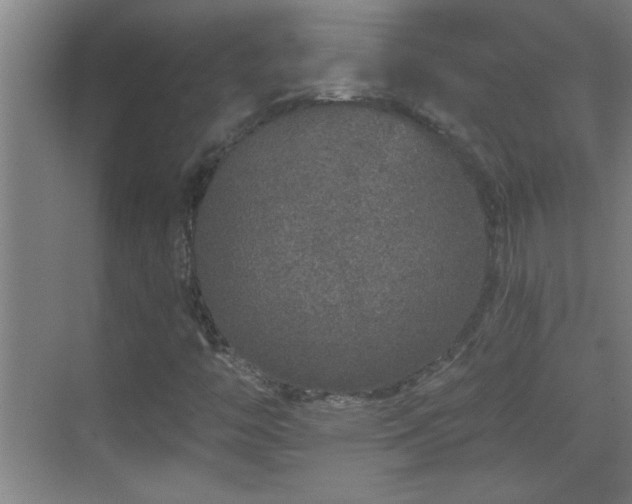 X0000069791446200605191026