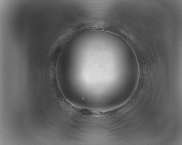 X0000069791447200605191026