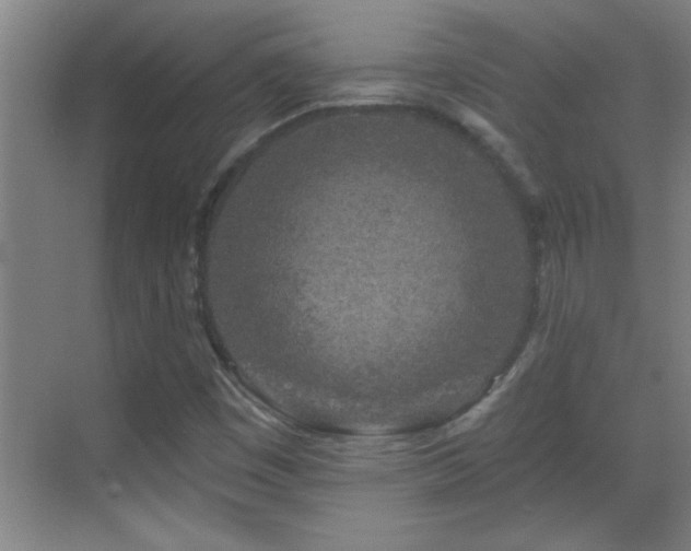 X0000069791449200605191026