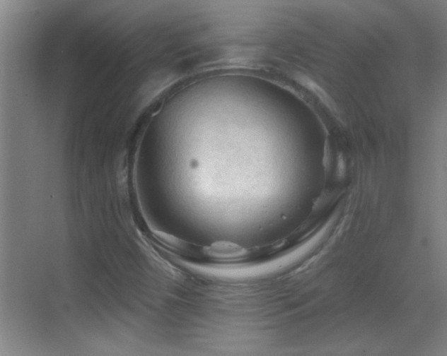 X0000069791450200605191026