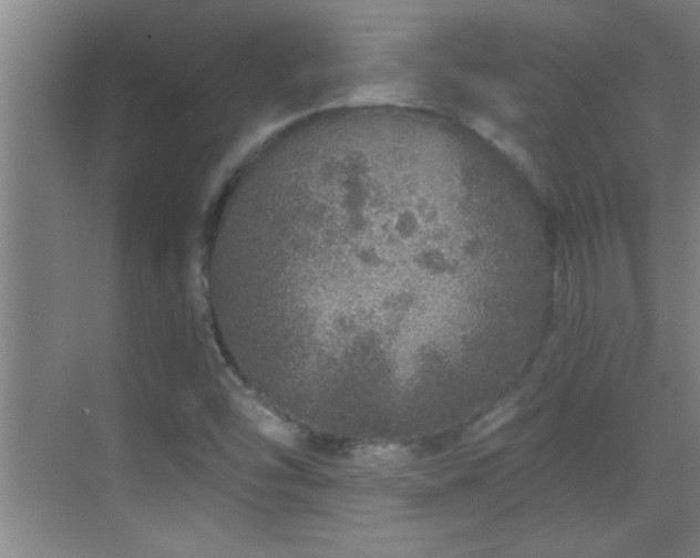 X0000069791454200605191026