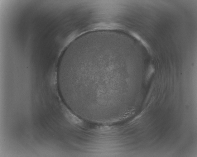 X0000069791459200605191026