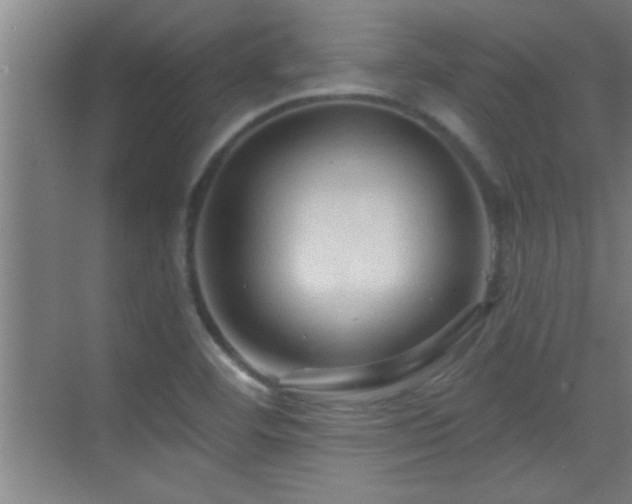 X0000069791460200605191026