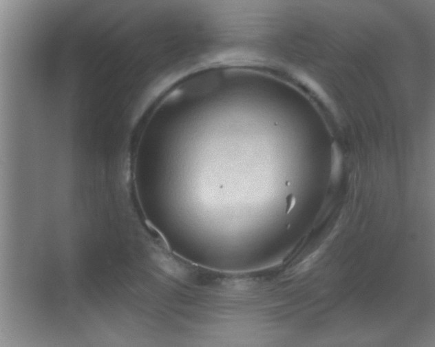 X0000069791461200605191026