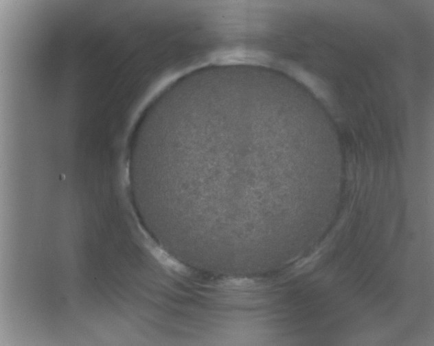 X0000069791462200605191026