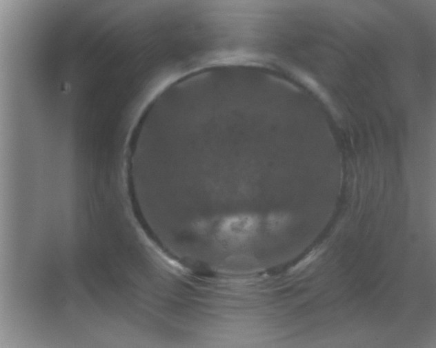 X0000069791463200605191026