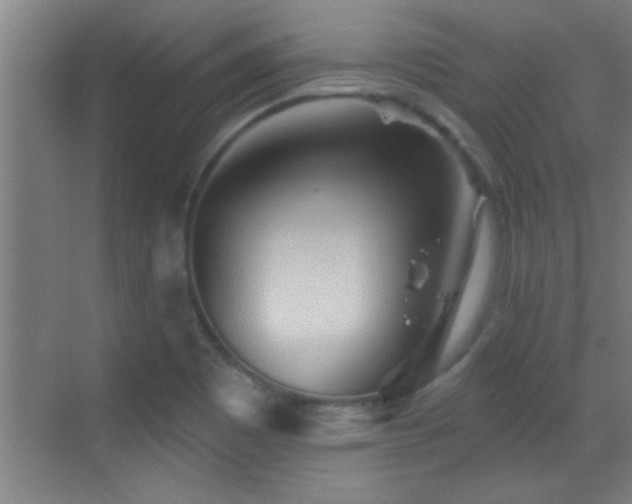 X0000069791465200605191026