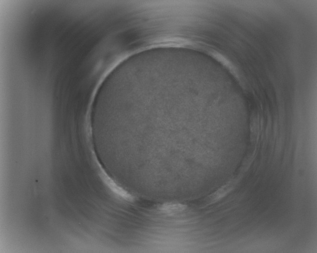 X0000069791466200605191026