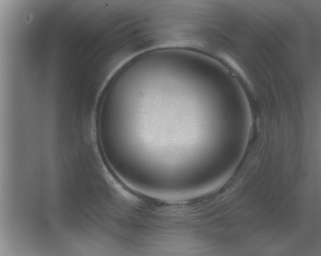 X0000069791468200605191026