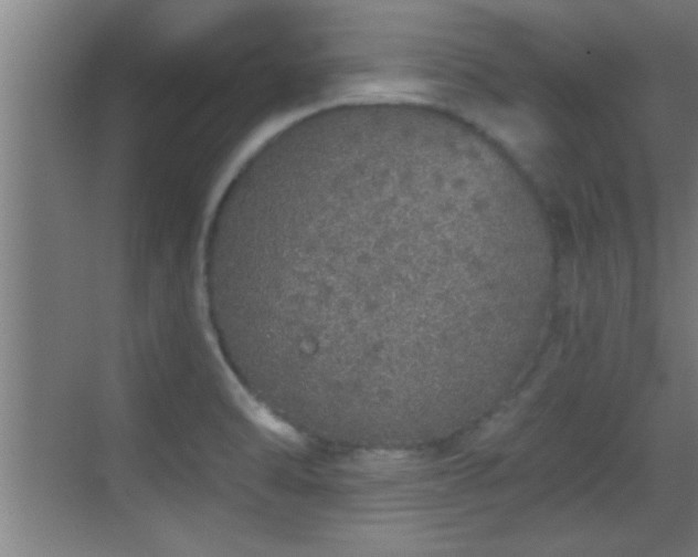 X0000069791470200605191026