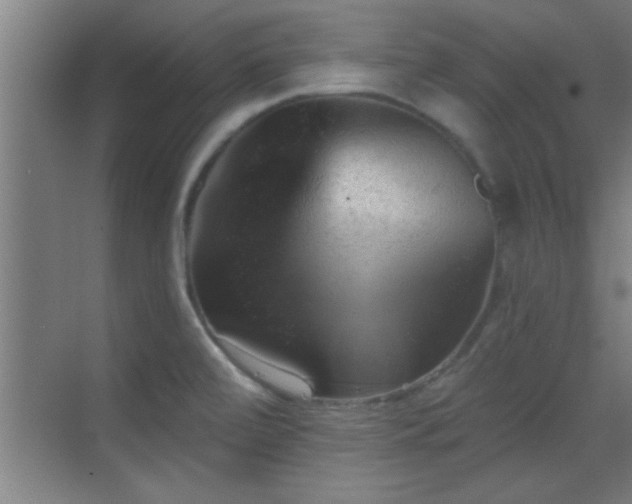 X0000069791472200605191026