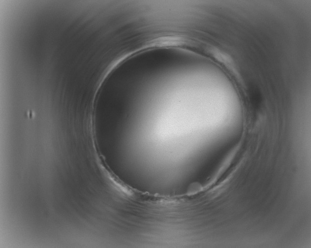 X0000069791473200605191025