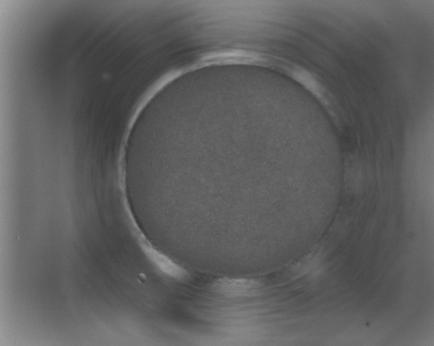 X0000069791474200605191025