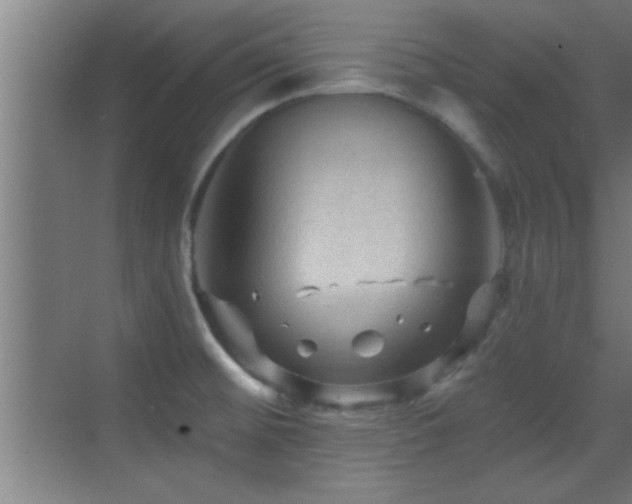 X0000069791476200605191025