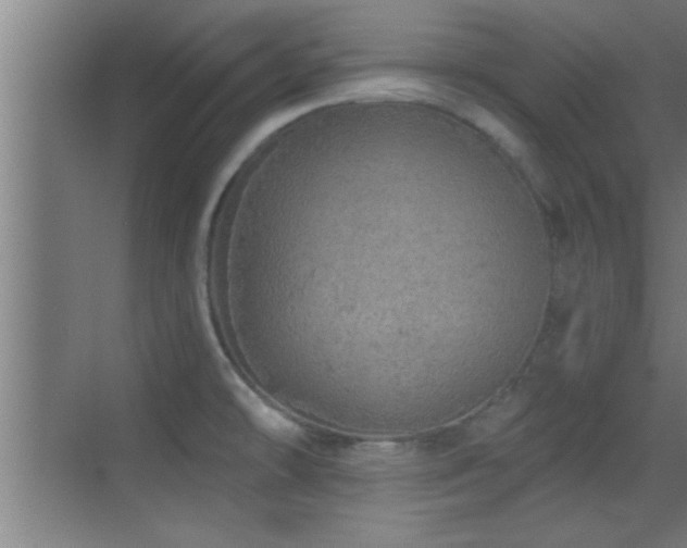 X0000069791478200605191025