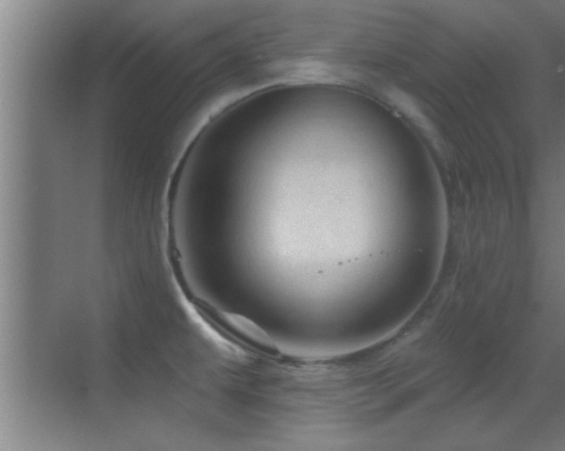 X0000069791479200605191025