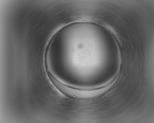 X0000069791480200605191025