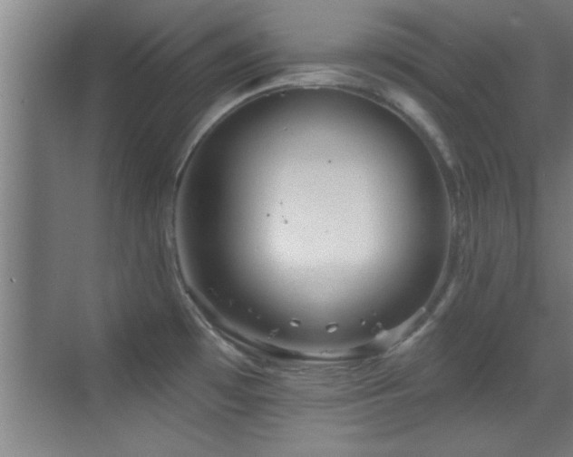 X0000069791481200605191025