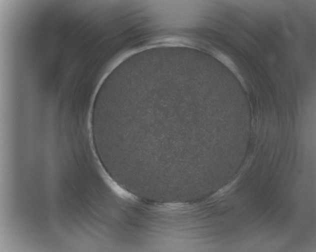 X0000069791482200605191025