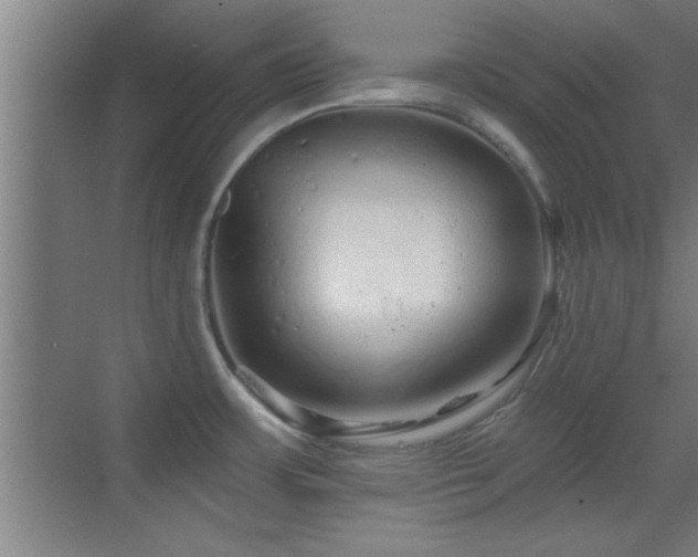 X0000069791483200605191025