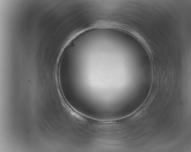 X0000069791486200605191025