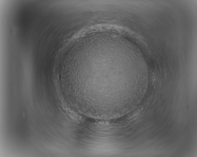 X0000069791489200605191024