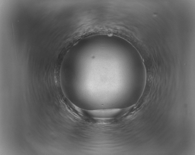 X0000069791490200605191024