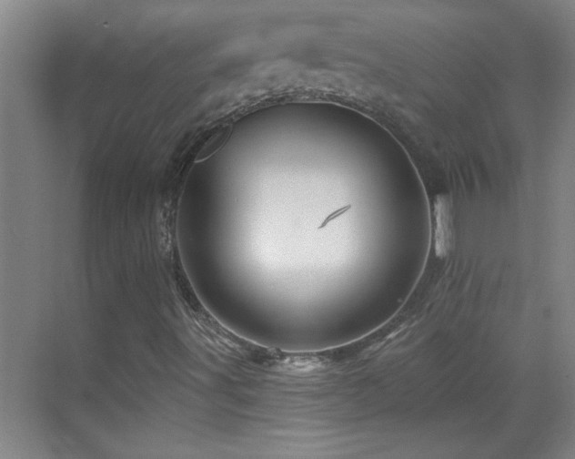 X0000069791491200605191024