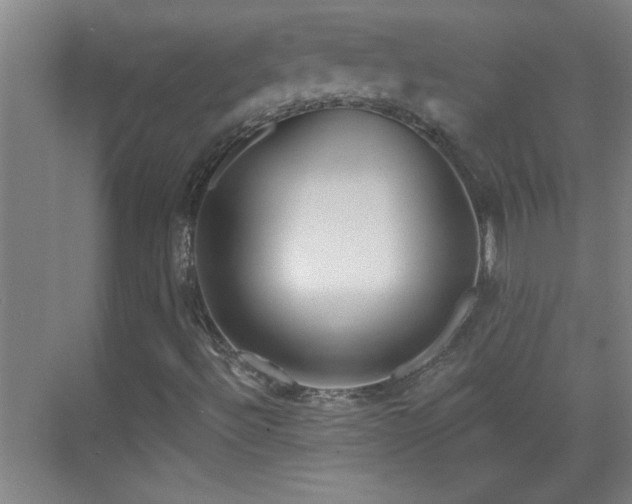 X0000069791492200605191024