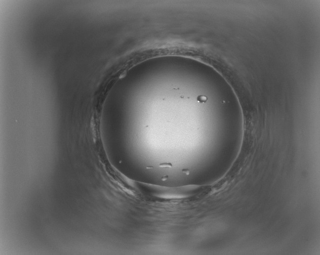 X0000069791493200605191024