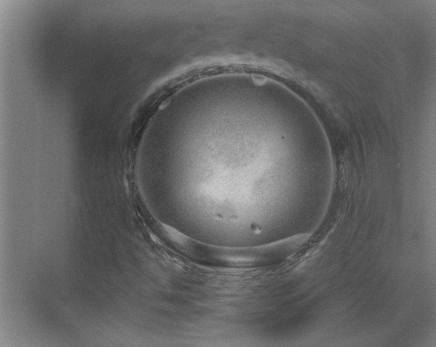 X0000069791494200605191025