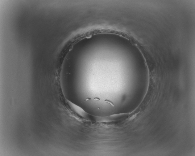 X0000069791495200605191025