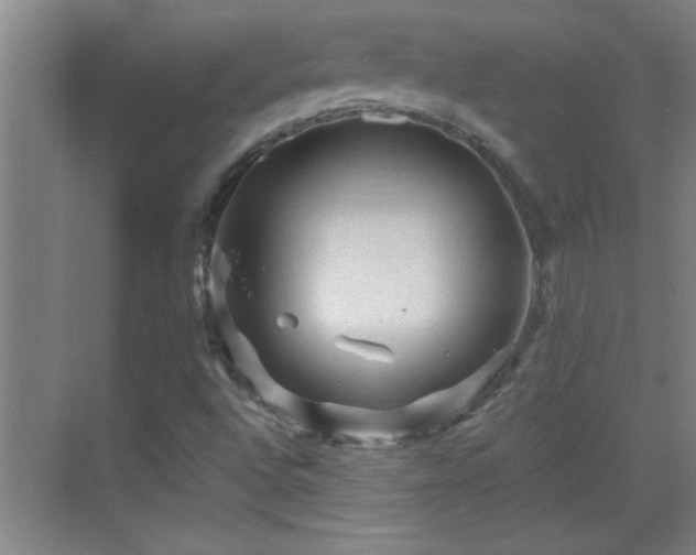 X0000069791496200605191025