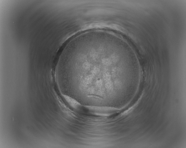 X0000069791497200605191025