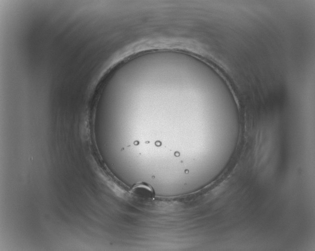 X0000069791498200605191025