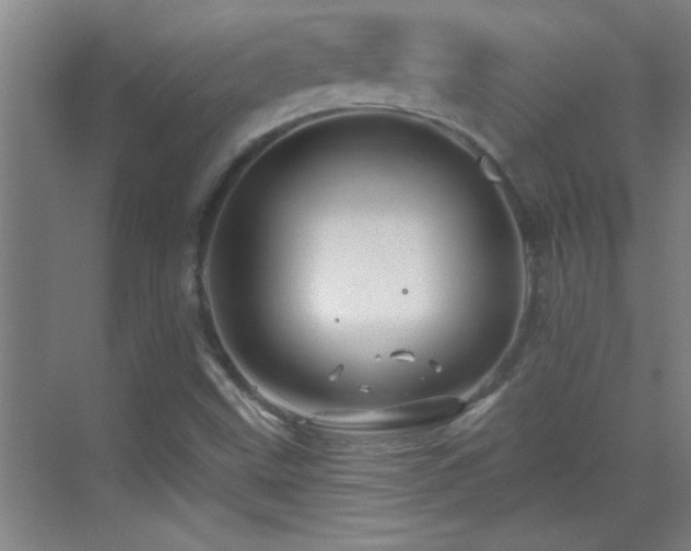 X0000069791499200605191025