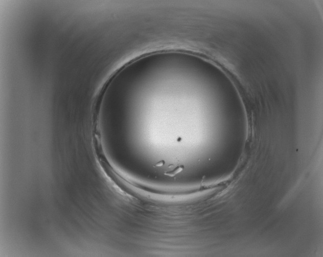 X0000069791500200605191025