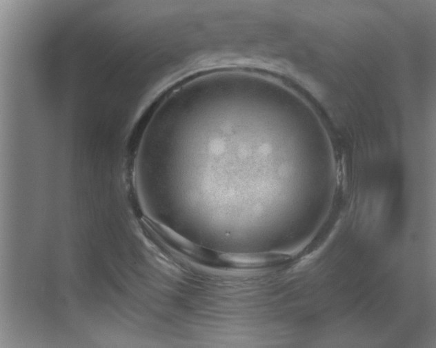 X0000069791501200605191025