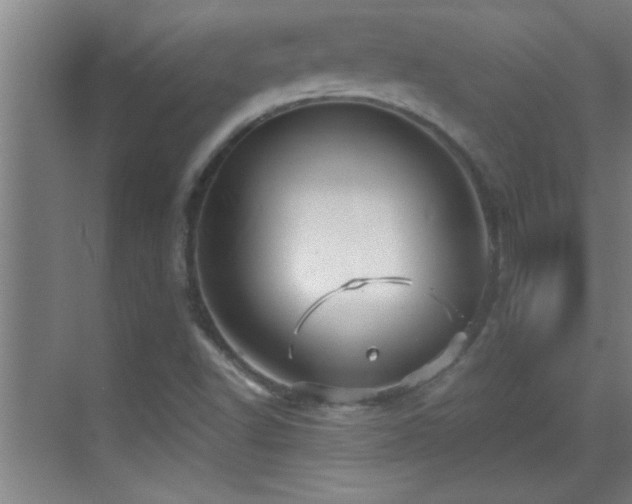 X0000069791502200605191025