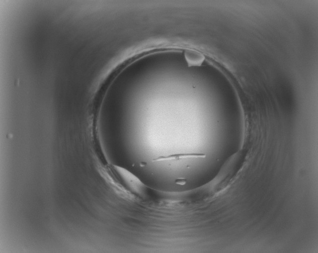 X0000069791503200605191025