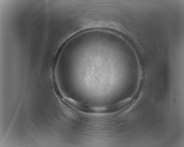 X0000069791505200605191025