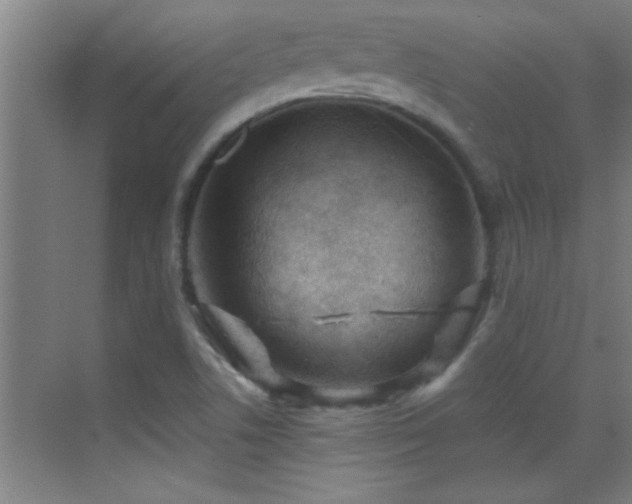 X0000069791506200605191025