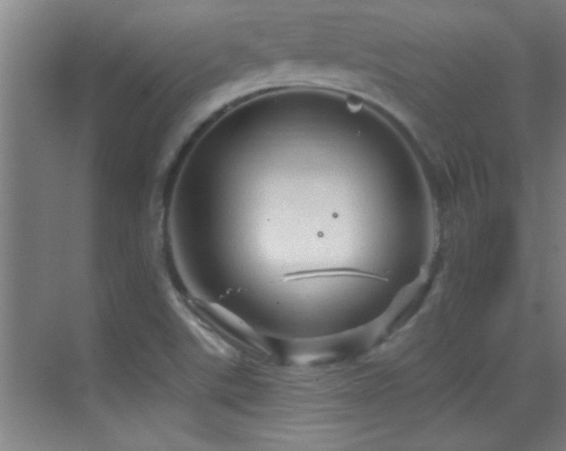 X0000069791507200605191025