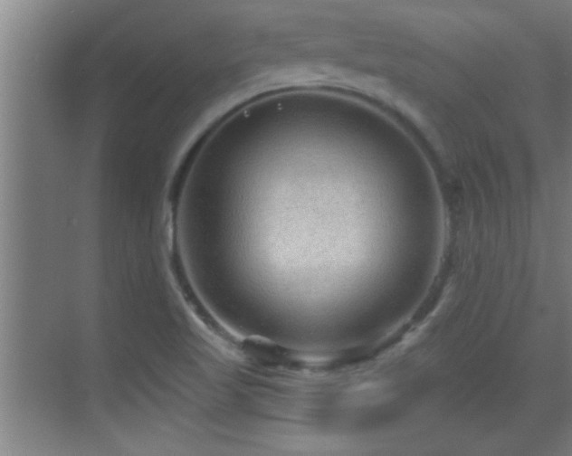 X0000069791509200605191025