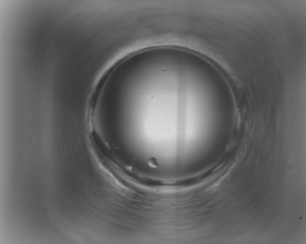 X0000069791510200605191025